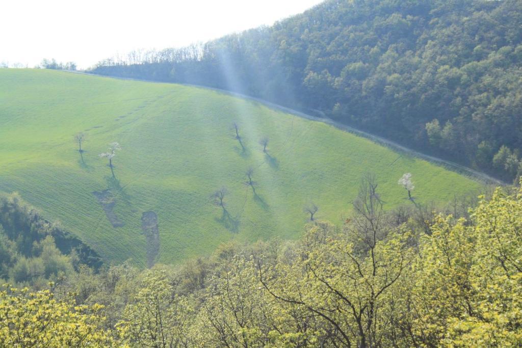 마르차보토 Chiesa Ignano 1778 빌라 외부 사진